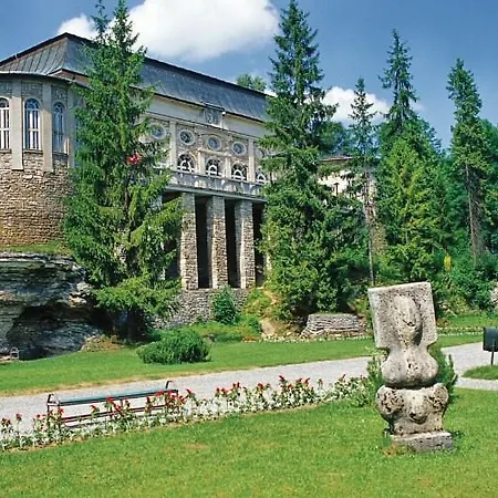 Pinewood Valley Вышне-Ружбахи